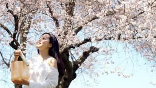 さくらさくら - Sakura Sakura - Japanese traditional folk song