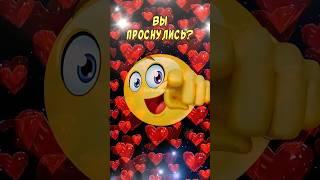 Вы проснулись? С добрым утром и хорошим днем!