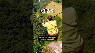 Would You Try This? 