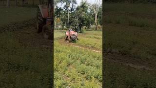 Mahindra arjun tracktor farming. #shortsfeed #shortsviral #tractorvideo #viralvideo