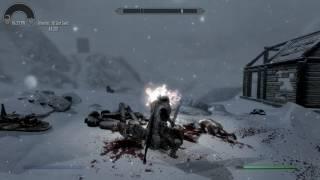 Some animation mod problems in Skyrim