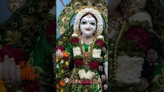 Radhe Radhe Shyam Japu Main Tere Galiyo Mein | #radha