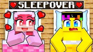 Sunny & Sunshine SLEEPOVER in Minecraft!