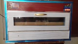 How to make Incubator || ,60 Eggs DC incubator || Use 4 different colors plywood sheet || #Incubator