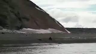 На Камчатке рыбак, спасаясь от медведя, бросился в воду в высоких сапогах и комбинезоне и утонул.