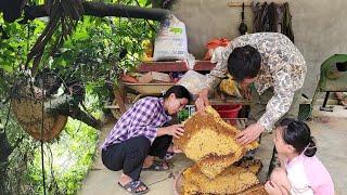 Kim and Duyen were happy to see Hoang go up the mountain and catch a giant honey bee nest.