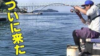 ん？これってバラシスタ記録じゃない？black sea bream fishing