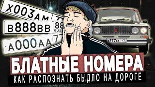 БЛАТНЫЕ НОМЕРА - пережиток прошлого или дешёвый понт?