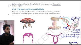 Animal Kingdom Part 2 NCERT line by line Explanation || NCERT ka gyan