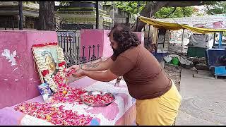 Mahadev social welfare trust - NGO - sanjay kumar - 9094242932