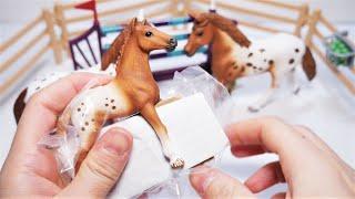 Schleich Horse Club Lisa’s tournament training Unboxing | Schleich 42433