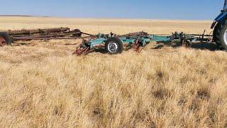 как собирают скошенное сено How hay is cut in the field