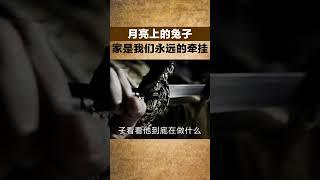 月亮上的兔子，家是我們永遠的牽掛【小豆知历史】#趣味歷史#歷史冷知識#歷史故事#歷史人物#古代歷史