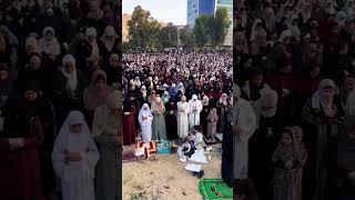 Laila Laila Mohammed#Laila Laila Mohammed#please subscribe 