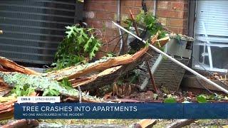 A look at Ian storm damage across Virginia