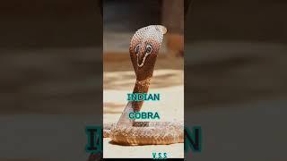 Types of the cobras#wikipedia