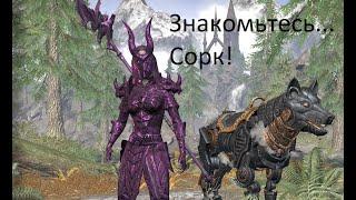 Magicka Sorcerer (мана сорк) - Skyrim Довакин - The Elder Scrolls Online ESO