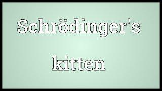 Schrödinger's kitten Meaning