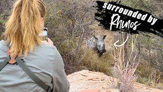 My best Rhino encounter on foot in South Africa