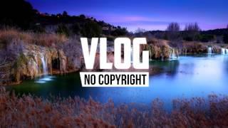 Xad - Birds (Vlog No Copyright Music)