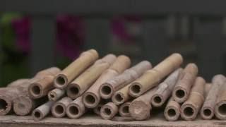 How to make a bee hotel