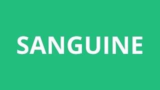 How To Pronounce Sanguine - Pronunciation Academy