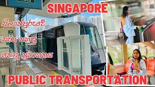 Public Transportation System in Singapore | BUS | MRT | LRT | සිංහල Vlog | Singapore Vlog  