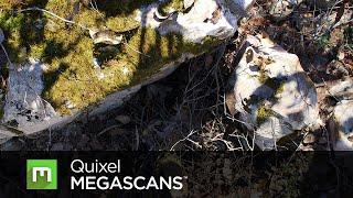 Megascans Release Trailer