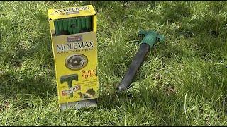 How to get Rid of Moles and Voles (Cool Tools) | HouseSmarts - Episode 179