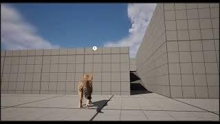 Unreal Engine 5 Root Motion Animal Cat Controller