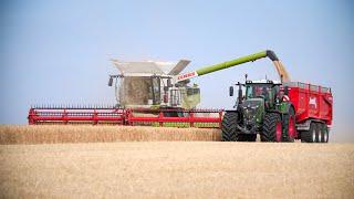 TOP DÉPART MOISSON 2023 en FRANCE ! CLAAS LEXION 8700TT