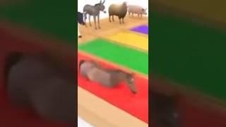 정체를 알 수 없는 영상