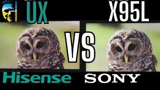 SONY X95L VS HISENSE UX LAND OF THE GIANTS!!