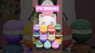 EPIC MUKBANG : From Small To Giant Cat Macaron #funny #mukbang