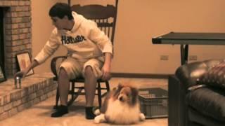 Rob & Zach Spanish Commercials