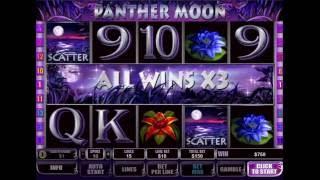 Panther Moon Slot - Big Win