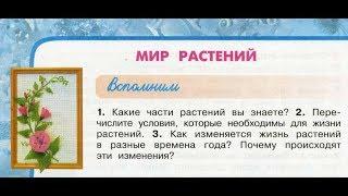 Окружающий мир 3 класс ч.1, тема урока "Мир растений", с.78-81, Перспектива.