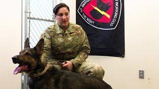 Malmstrom AFB K-9 unit is the base watchdog