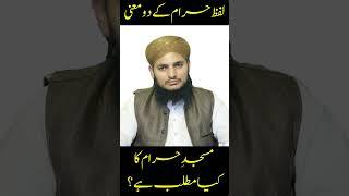 Understanding the Two Meanings of the Word "Haram" | Mufti Ubaid ur Rahman  #islamiccontent