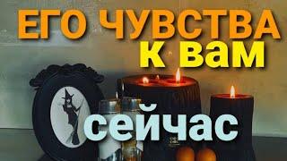 ЕГО ЧУВСТВА К ВАМ СЕЙЧАС? ТАРО