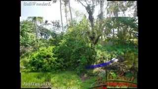 Magnificent Canggu Batu Bolong LAND FOR SALE TJCG160