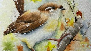 Watercolor wren among maple fall leaves tutorial demo paint along