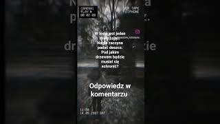 ️ Urbex TV ️