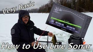 How to Use Live Sonar: Garmin LiveScope Tips To Find Fish - Ice Fishing Sonar