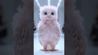 Owl Singing Big Open! Every second is screaming!  #cute #owl #singing #funny #APT #singer #shorts