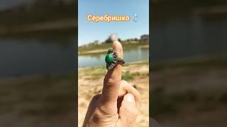 Коп в Калмыкии  #metaldetecting #коп #металлоискатель #хобби #отдых #увлечение #пляж #копатель