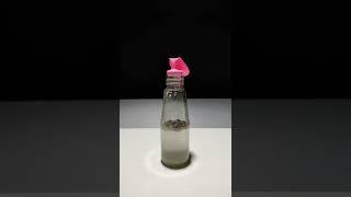 Simple Science Experiment || #shorts #scienceexperiment #experiment