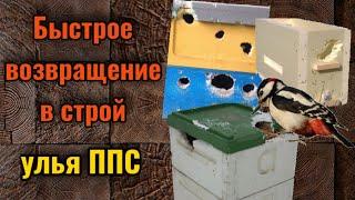 Срочный ремонт улья из пенополистирола