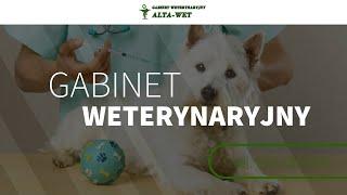 Przychodnia weterynaryjna Brodnica Alta-Vet