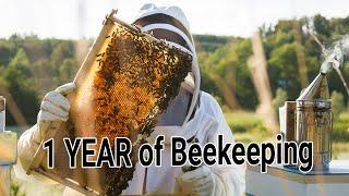 Becoming a Beekeeper - Day 1 till Day 365 - my first Honey Harvest - 1 year of Keeping bees